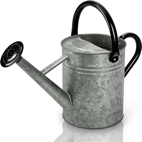 Amazon.com: metal watering can