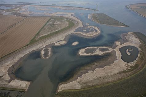 Wallasea Island Wild Coast Project – A landmark conservation and ...