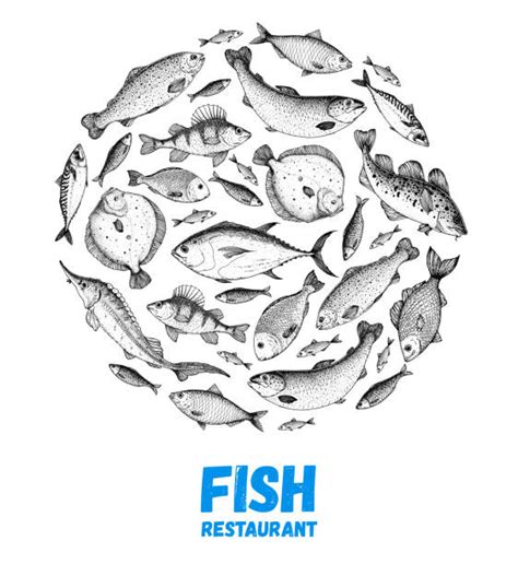 School Of Fish Illustrations, Royalty-Free Vector Graphics & Clip Art ...