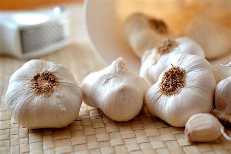 Farm to Table: Great garlic! | Sequim Gazette