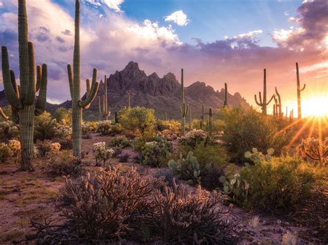 🔥 The Sonoran desert in Arizona, photographed by Gannon McGhee : r ...