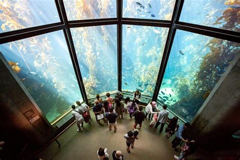 Tickets & Tours - Monterey Bay Aquarium, Monterey & Carmel - Viator