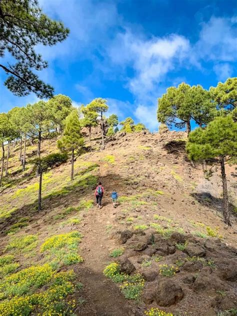 6 Amazing La Palma Hiking Trails - Family Can Travel