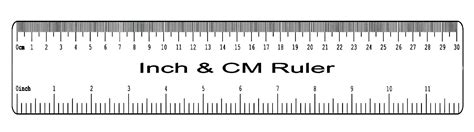 6 inch ruler actual size brand outlet