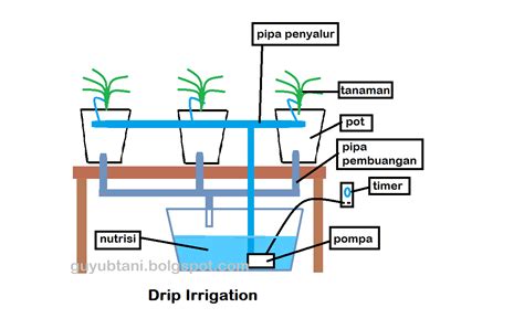 Contoh Laporan Perencanaan Irigasi Tetes Hidroponik - IMAGESEE