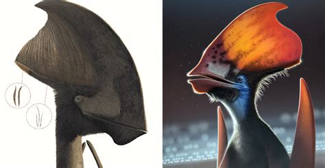 Pterosaurs may have had coloured feathers similar to birds | Natural ...