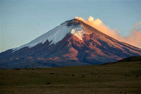 Cotopaxi destination: Reasons to wander there - Wanderbus Ecuador