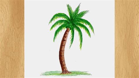 Coconut Tree Drawing