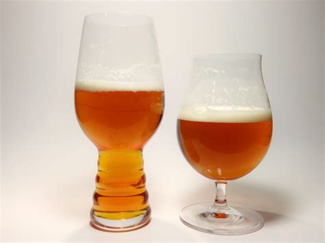 The IPA Glassware Review | Hooked On Hops – The Las Vegas Craft Beer Site