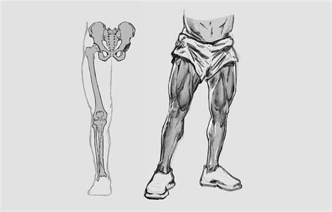 How to Draw Legs, the Easy Step-by-Step Guide with Simplified Anatomy ...