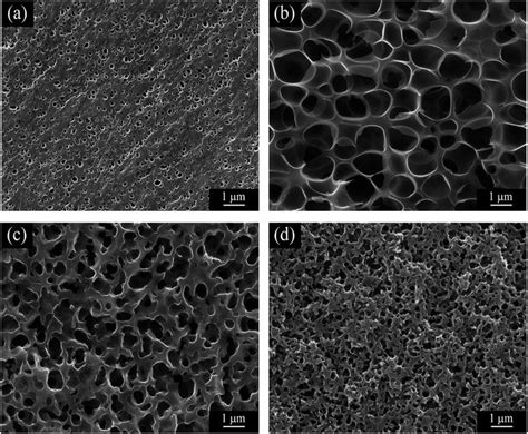 biomimetic structures | Nature