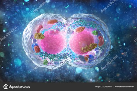 Biology concept. Cell division under the microscope. 3d illustration ...