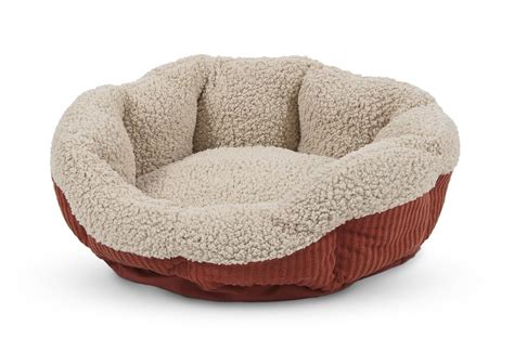 Top 5 Rated Cat Beds