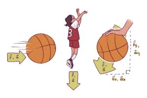 Newton’s 2nd Law of Motion – Physics of Basketball – UW–Madison