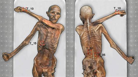 Researchers Map All of Oetzi the Iceman's Tattoos | Mental Floss