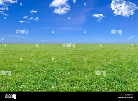 Background image of an empty green field with blue sky Stock Photo - Alamy