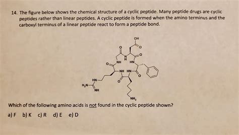 How to Enhance Cyclic Peptide Bioavailability - Peptide.WIKI