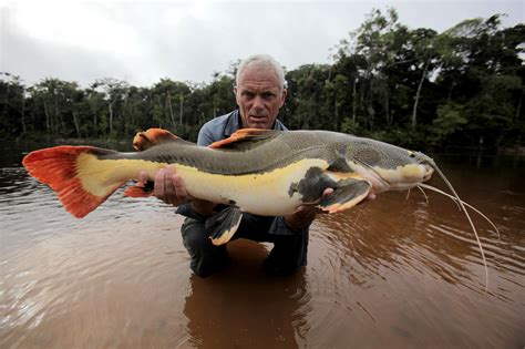 ‘River Monsters’ uncovers tale of deadly Amazon fish attack