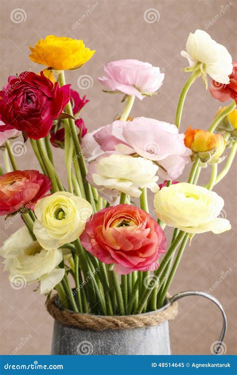 Bouquet of Colorful Persian Buttercup Flowers (ranunculus) Stock Image ...