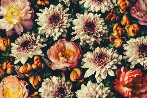 Vintage bouquet of beautiful flowers on black. Floral background ...