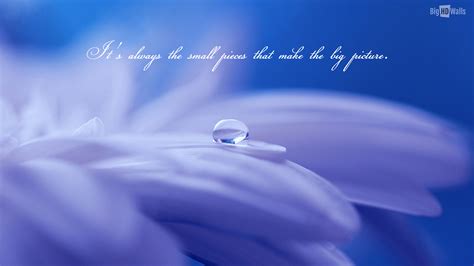 Droplets Water Quotes. QuotesGram