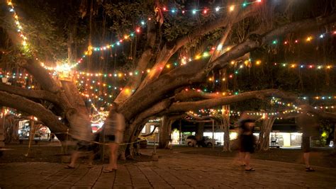 Lahaina Town, and its cultural heritage, destroyed in Maui wildfires