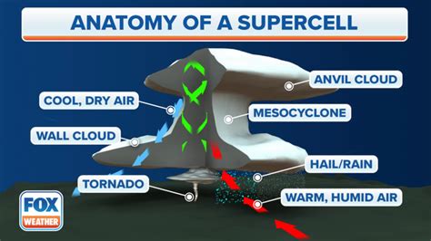 Here's why tornadoes can't form during a snowstorm | Fox Weather