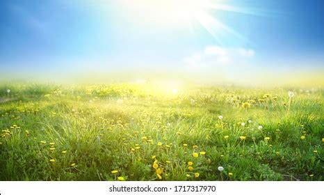 9,426,426 Meadow Images, Stock Photos, 3D objects, & Vectors | Shutterstock