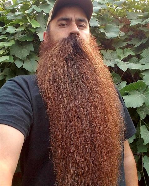 thebeardapostle.com | Long beard styles, Beard styles, Long beards