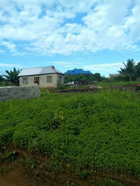 PLOT FOR SALE AT KITONGA ILALA | TANZANIA REAL ESTATE