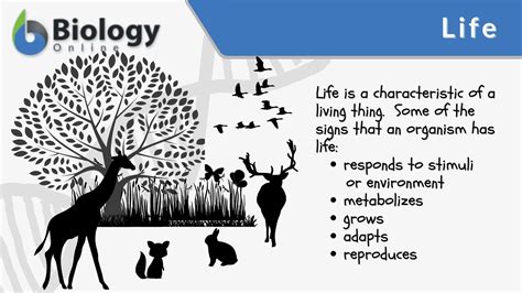 Life Definition and Examples - Biology Online Dictionary