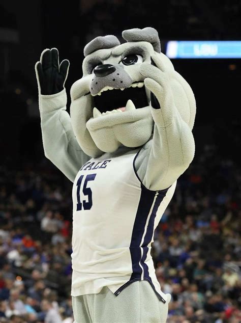 Yale's valiant comeback bid comes up just short in NCAA tourney loss to LSU