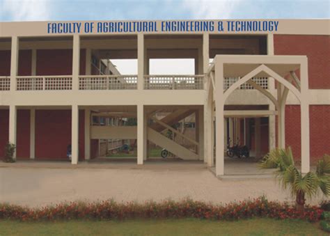 University Of Agriculture Faisalabad - malayhaidir