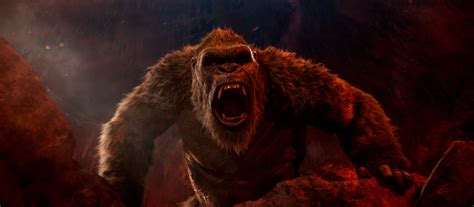 With King Kong, a little swagger returns to the box office Brazil ...