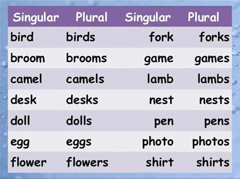 Singular & Plural Nouns: Definitions, Rules & Examples – ESL Buzz