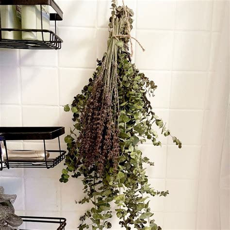 Fresh Eucalyptus Shower Bundle Spa Shower Hanging - Etsy