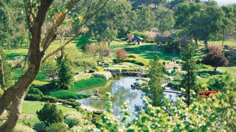 Cowra Cherry Blossom Festival – Kenny Express