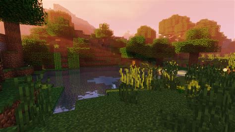 Minecraft shaders texture pack 1-17 - paassign