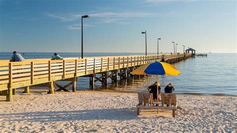 Are Dogs Allowed On Biloxi Beaches