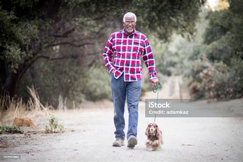 Senior Black Man Walking His Dog Stock Photo - Download Image Now - Dog ...