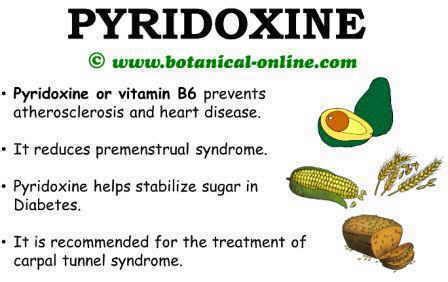 Pyridoxine properties – Botanical online