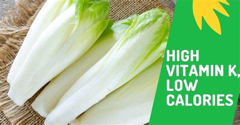 Can You Freeze Endive? - Yes you can! Here Is How.