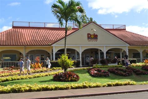 Dole Pineapple Plantation in Oahu, Hawaii - WanderWisdom