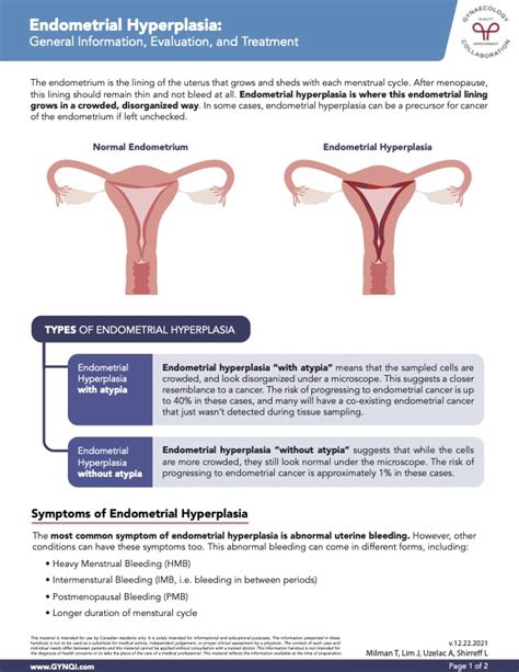 Endometrial Hyperplasia - Information, Evaluation, and Treatment