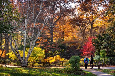 12 stunning photos of fall colours in High Park