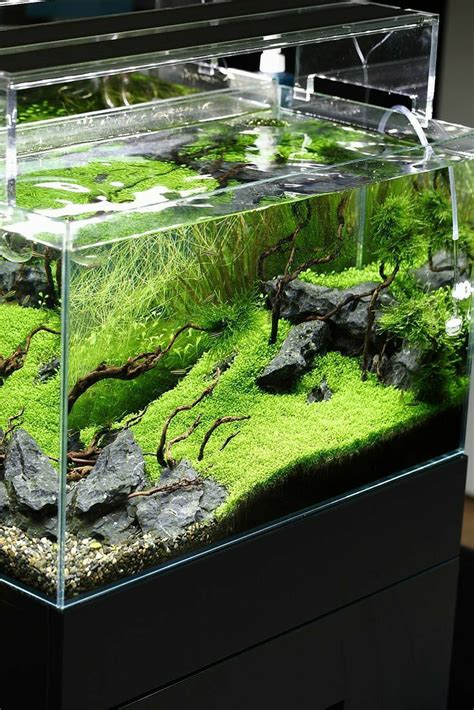 Home Projects ~ Aquariums 🐠 | Aquarium landscape, Amazing aquariums ...