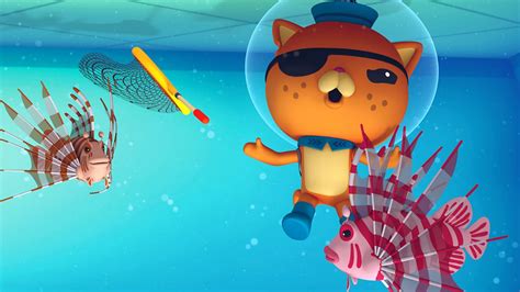 BBC iPlayer - Octonauts - Series 2: 17. Lionfish