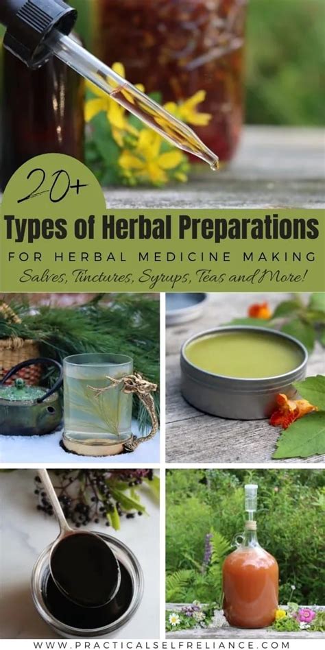 Herbal Medicine Making: 20+ Types of Herbal Preparations | Herbal ...