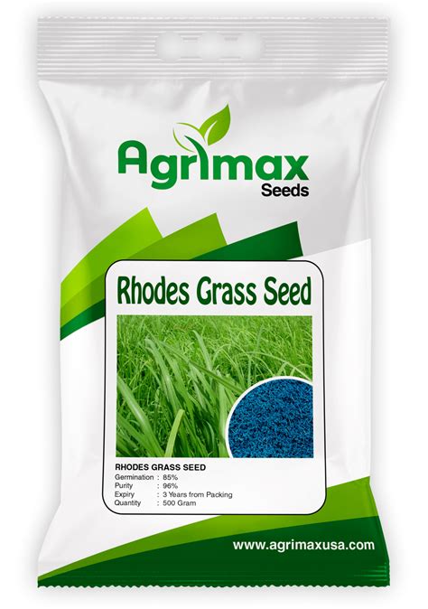 RHODES GRASS - agrimaxseed