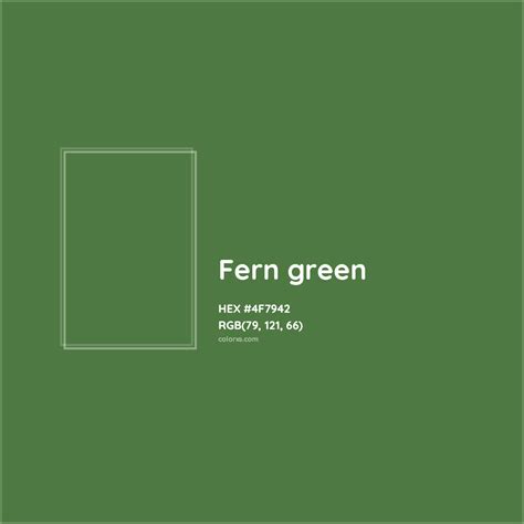 About Fern green - Color codes, similar colors and paints - colorxs.com